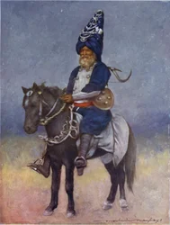 Un Devoto Fanatico Akalis